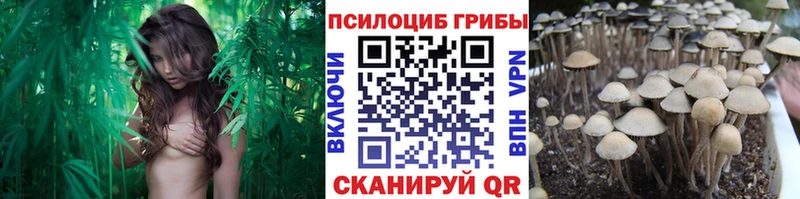 Псилоцибиновые грибы Magic Shrooms  Починок 
